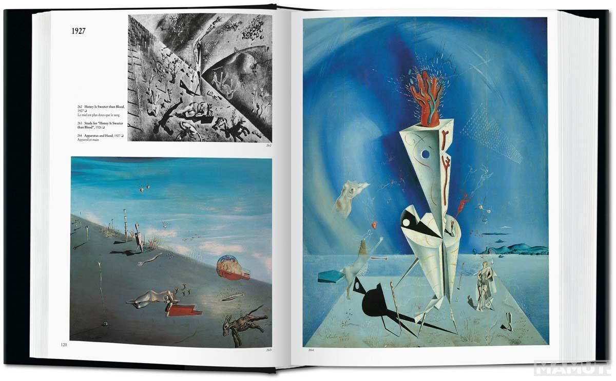SALVADOR DALI THE PAINTINGS 