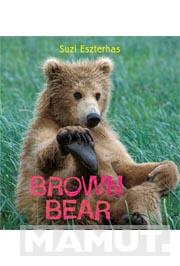 BROWN BEAR 