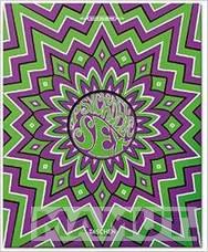 PSYCHEDELIC SEX BOOK 