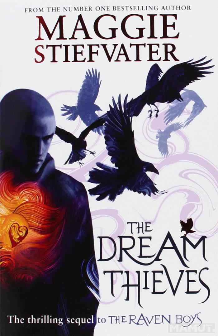 THE DREAM THIEVES 