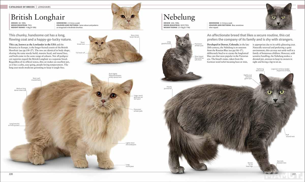 THE CAT ENCYCLOPEDIA 