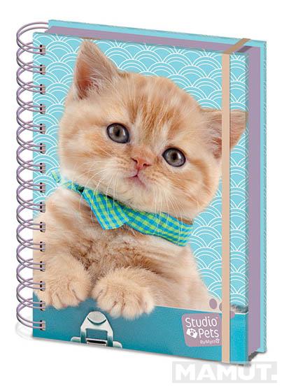 STUDIO PETS PUMPKIN A5 Wiro Notebook 