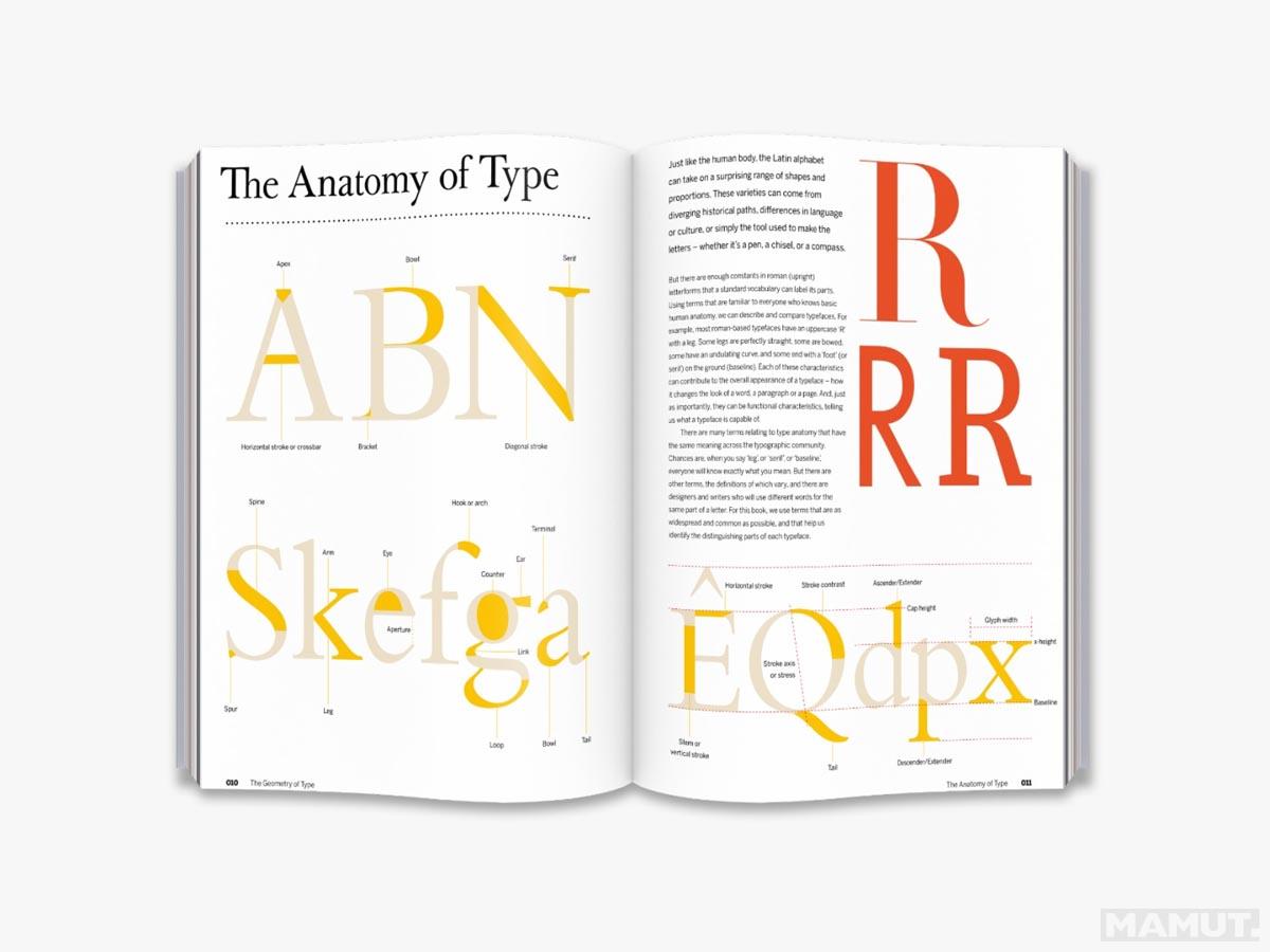 THE GEOMETRY OF TYPE 