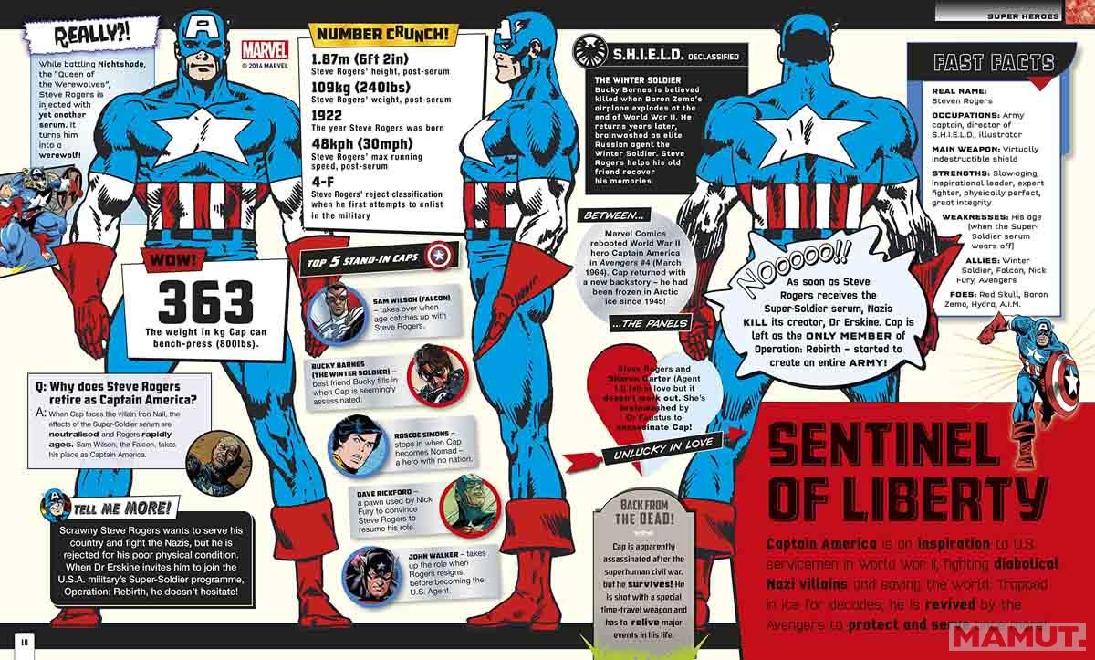 MARVEL Absolutely Everything You Need to Know 