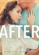 AFTER 4 Posle pada II