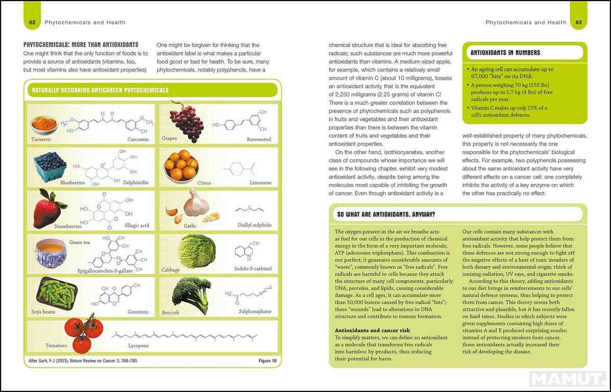 Foods To Fight Cancer 