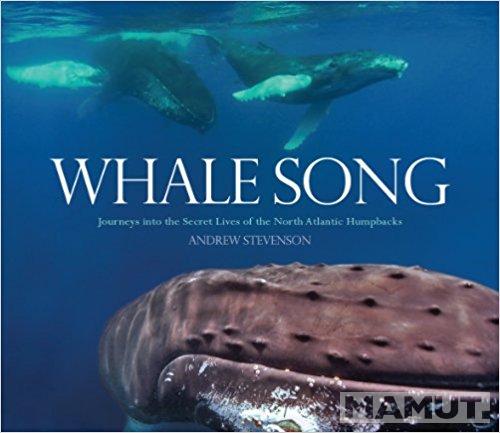 Whale Song 