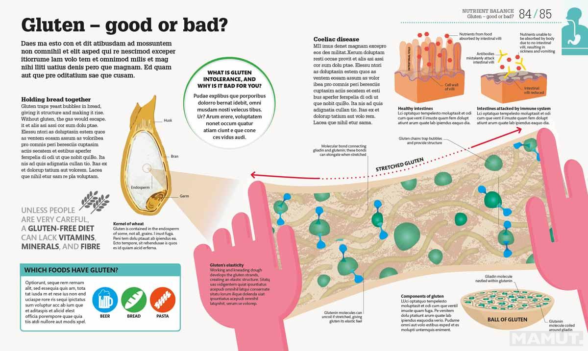 How Food Works 