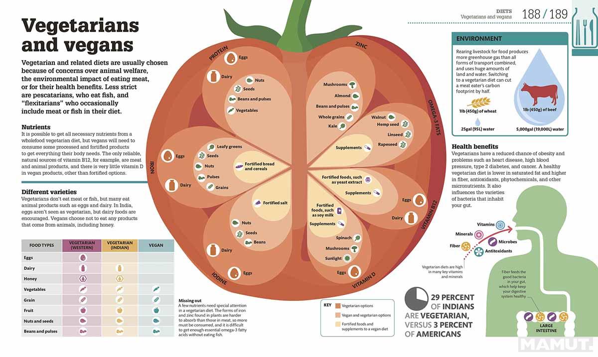 How Food Works 