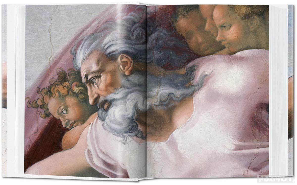 MICHELANGELO The Complete Paintings Sculptures and Architecture 
