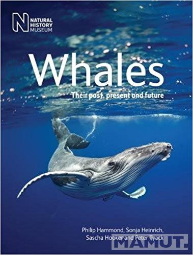 WHALES 