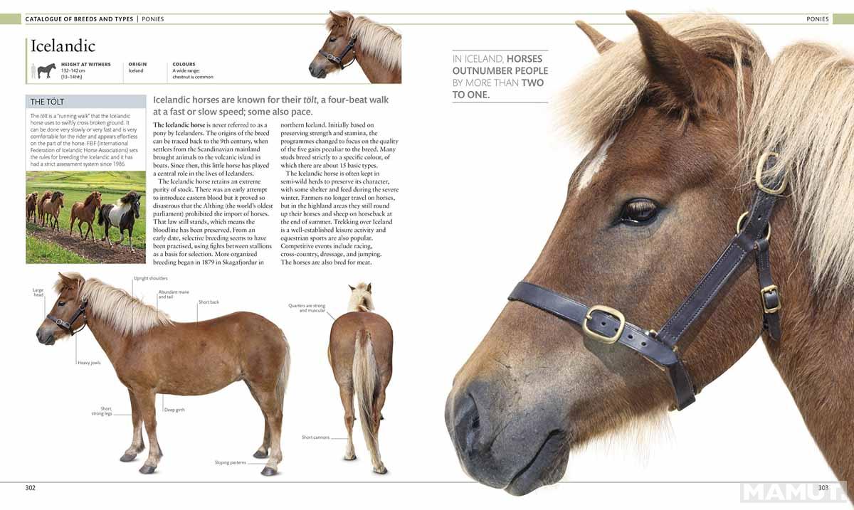 THE HORSE ENCYCLOPEDIA 