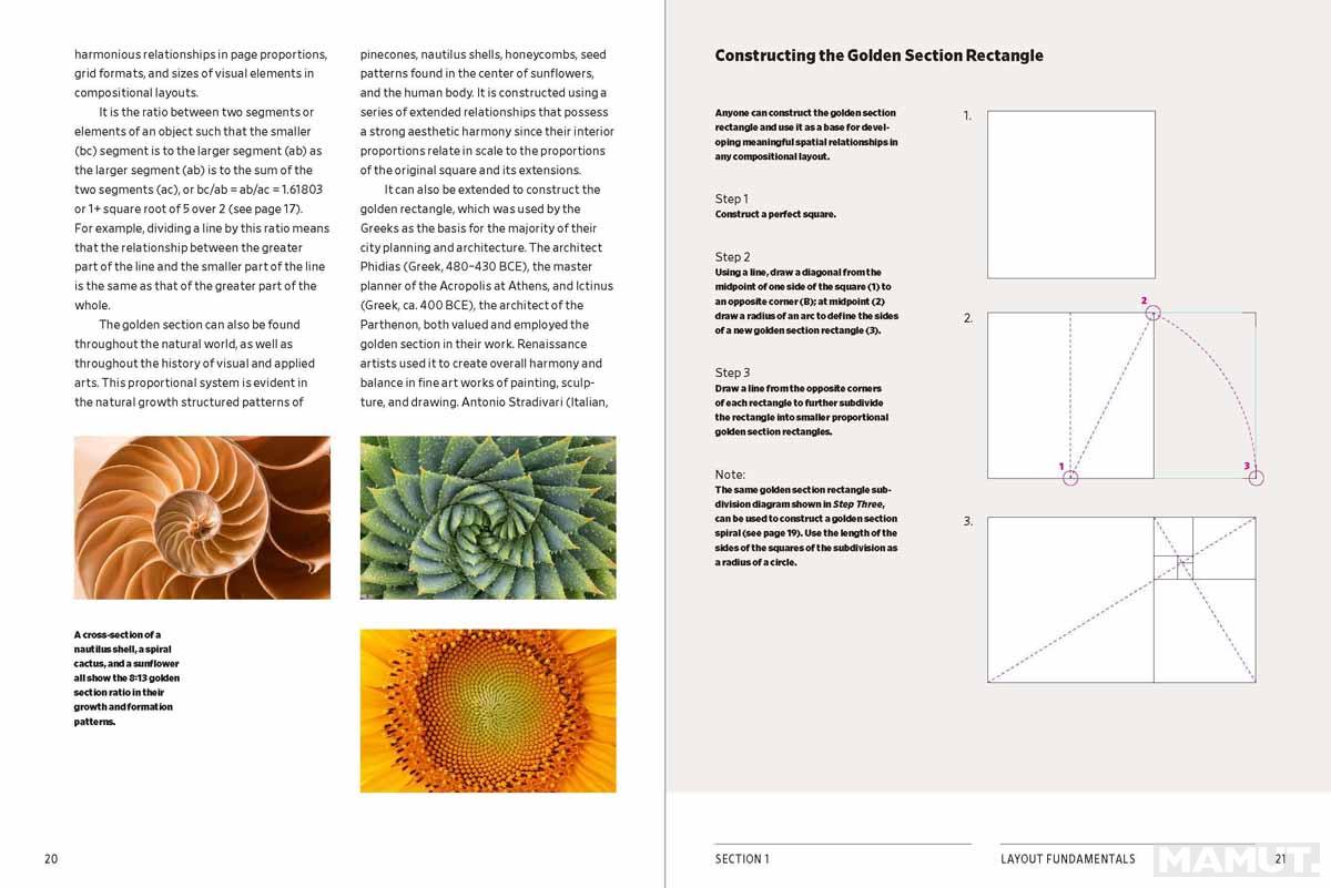 DESIGN SCHOOL:LAYOUT 