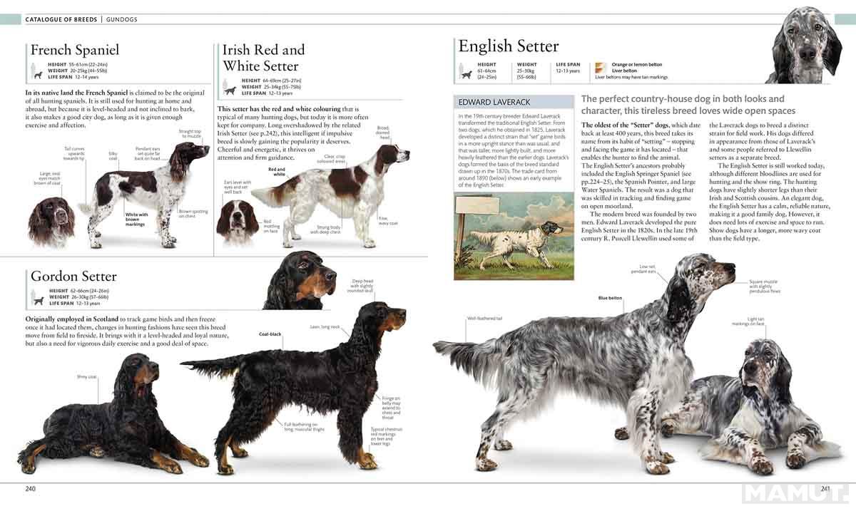 THE DOG ENCYCLOPEDIA 