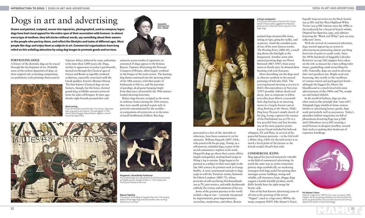 THE DOG ENCYCLOPEDIA 