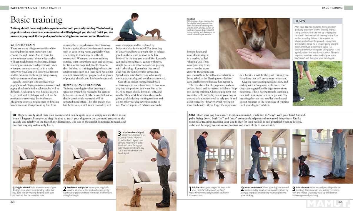 THE DOG ENCYCLOPEDIA 
