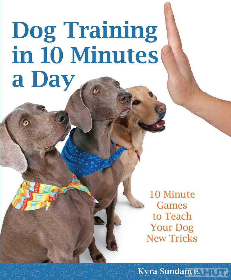 DOG TRAINING IN10 MINUTES A DAY 