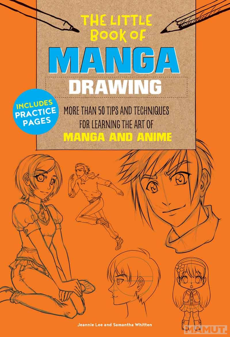 LITTLE BOOK OF MANGA DRAWING 