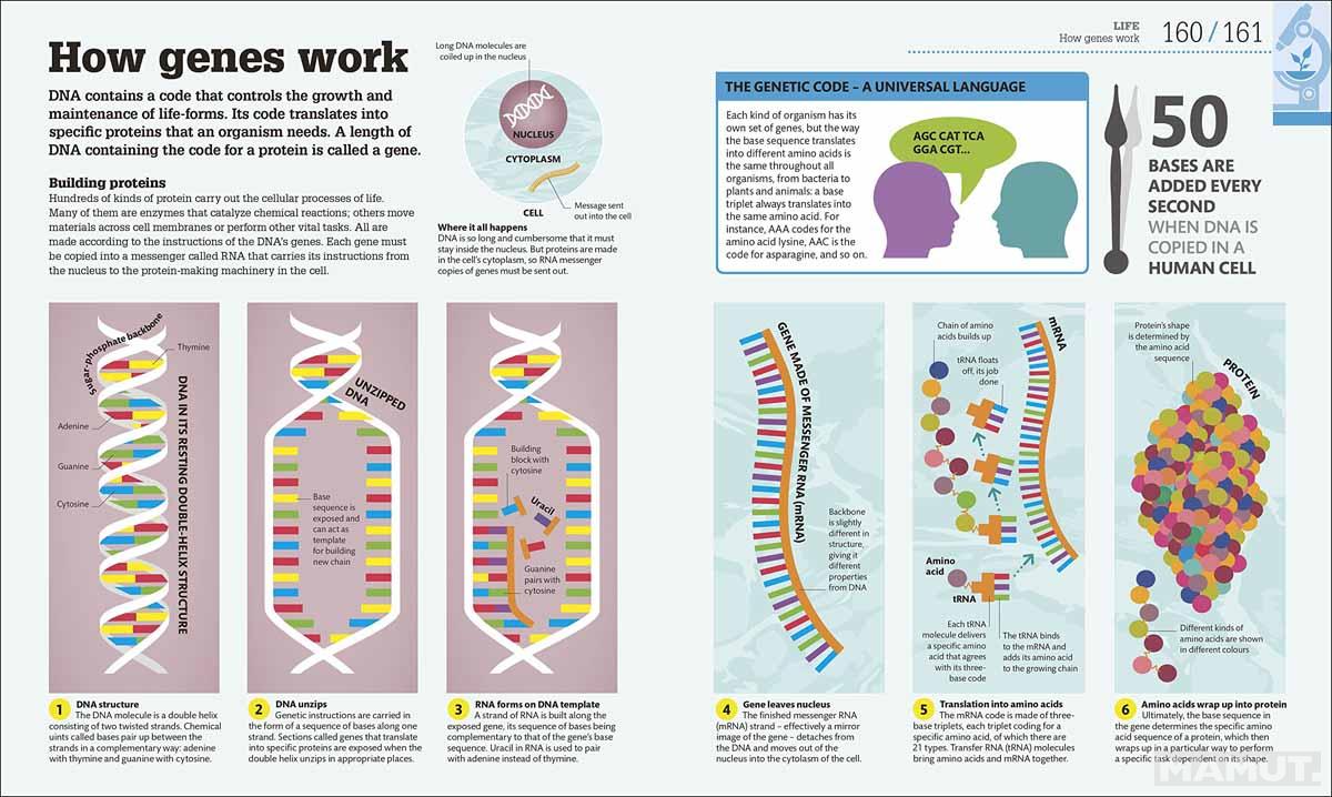 HOW SCIENCE WORKS 