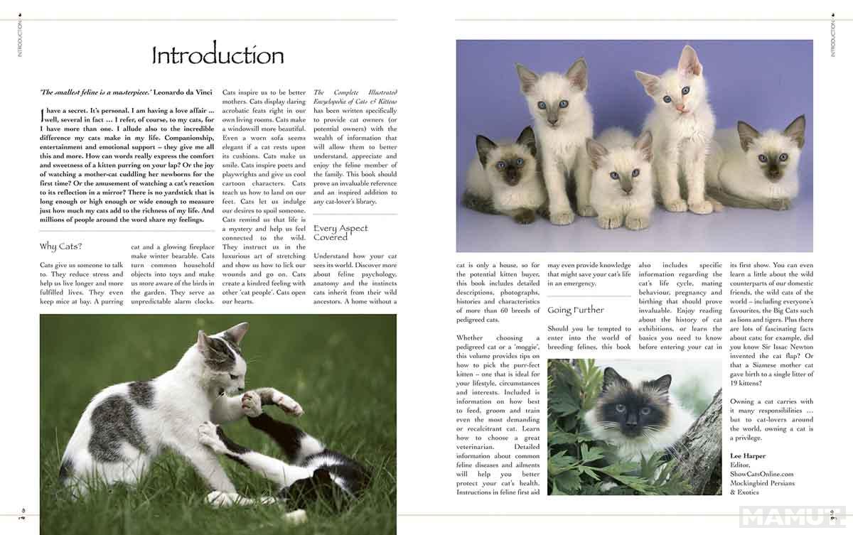 THE COMPLETE ILLUSTRATED ENCY OF CATS AND KITTENS 