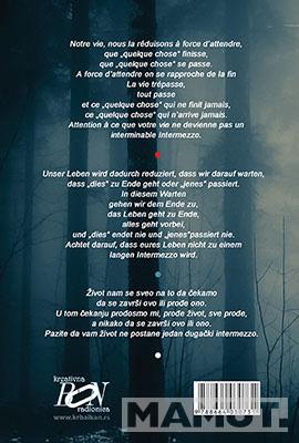 INTERMEZZO 