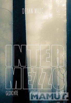INTERMEZZO 