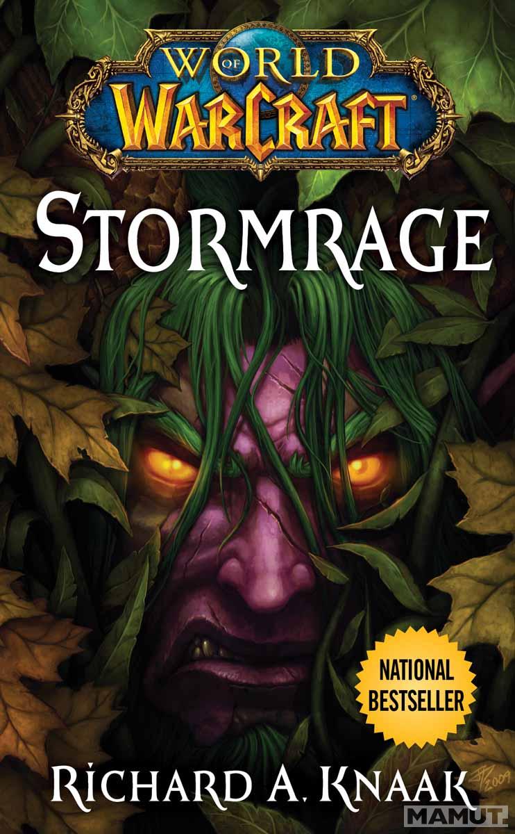 WORLD OF WARCRAFT STORMRAGE 