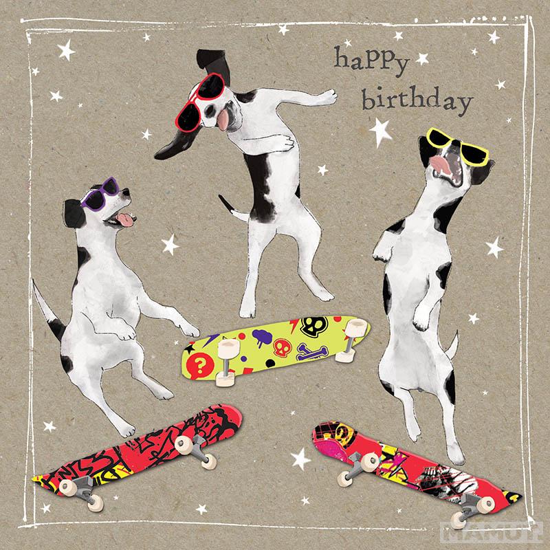 Rođendanska Čestitka FANCY PANTS THREE SKATE DOGS 