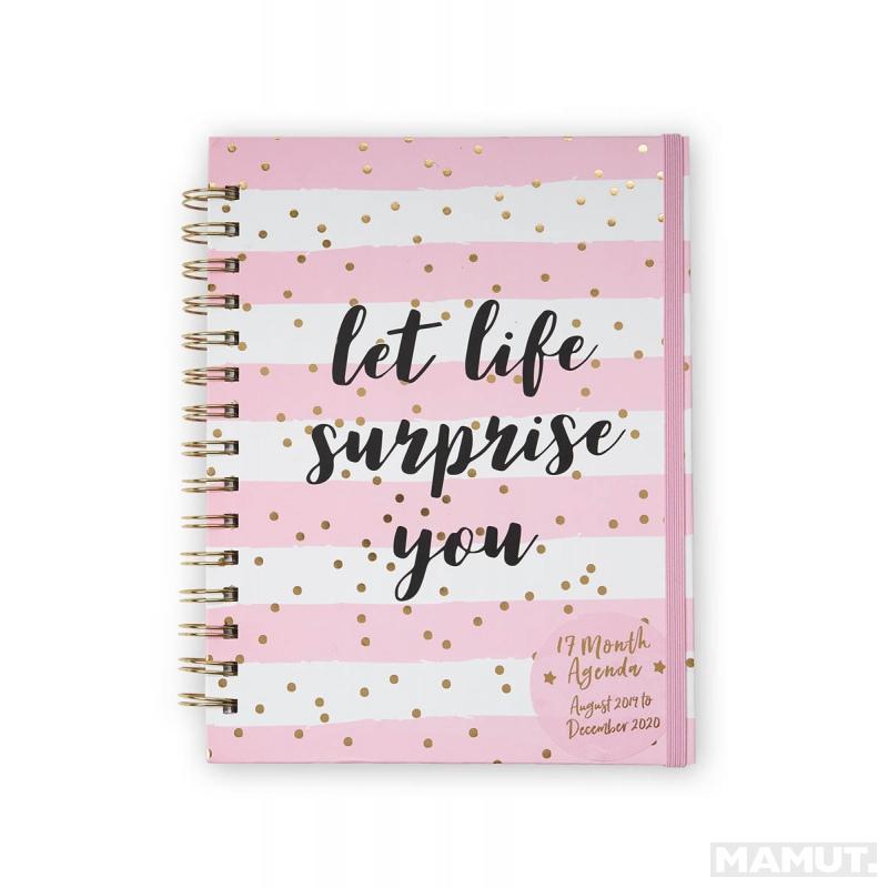 Rokovnik 17 MONTH AGENDA 