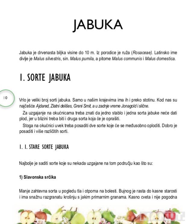 JABUKA I KRUŠKA 