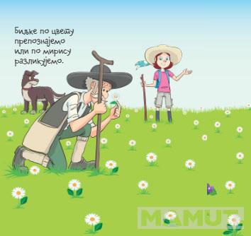 ANA I FILIP ISTRAŽUJU Na livadi 