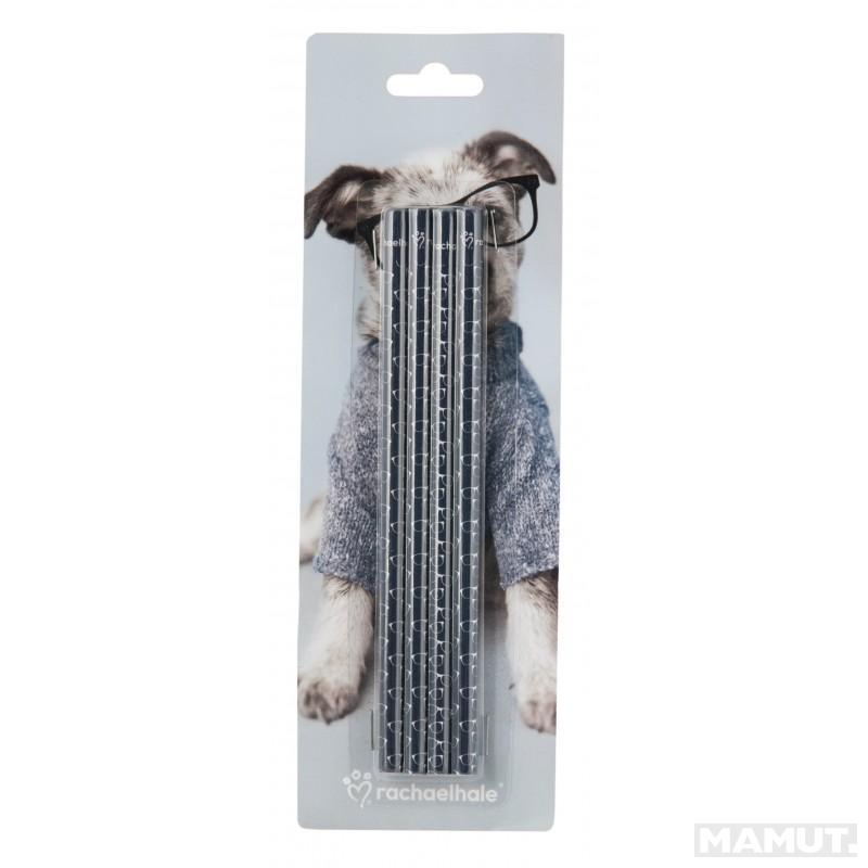 Set Olovaka PENCILS 4PCS PETS 
