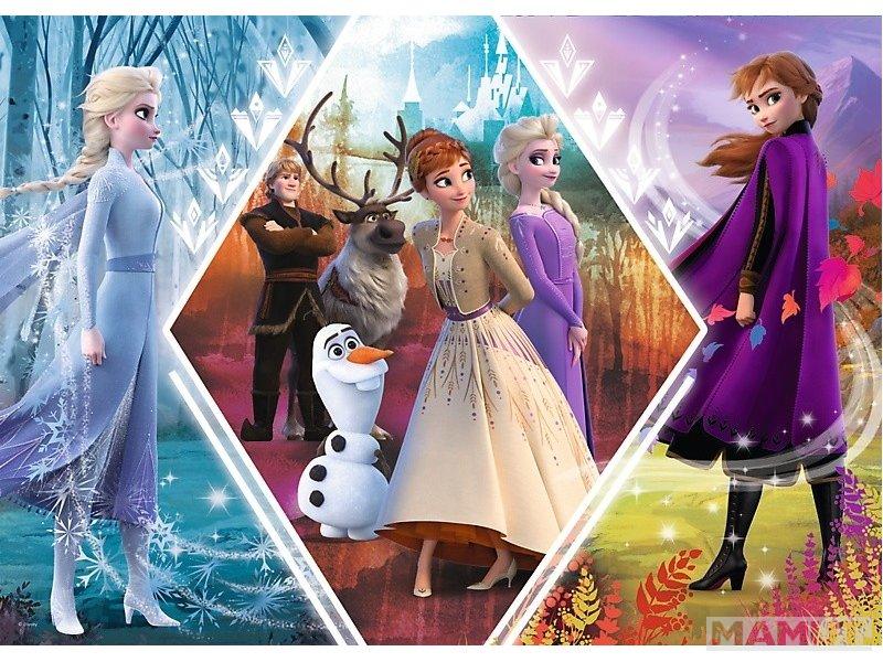 Puzzle FROZEN 2 Sisters in Frozen Land 200 