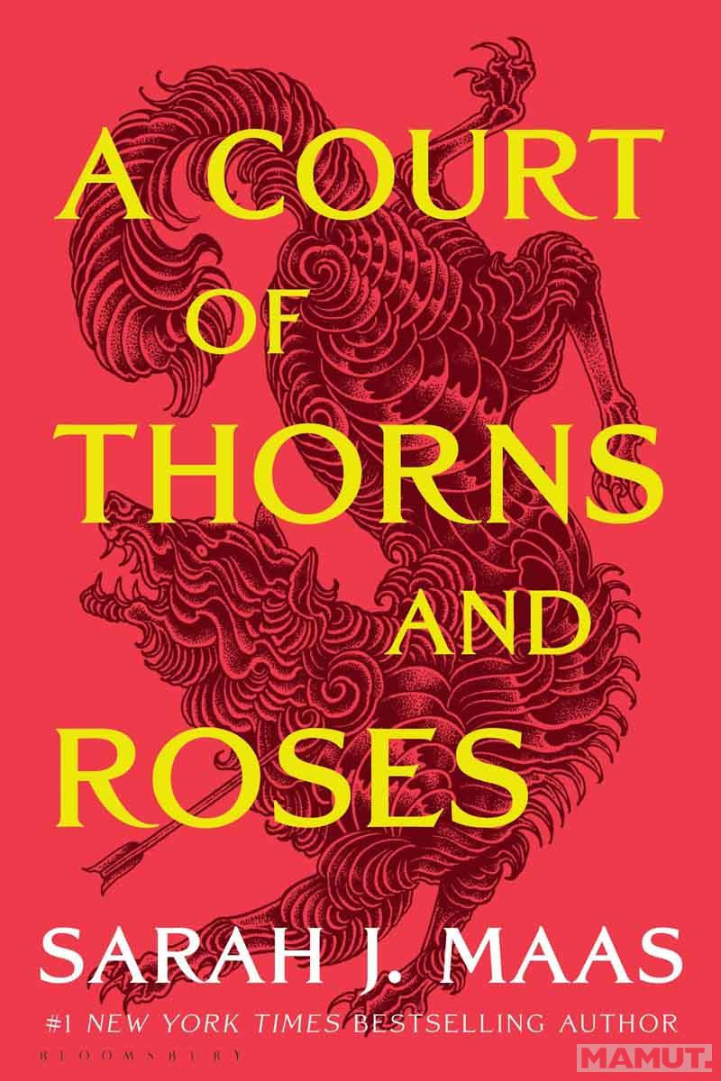 A Court of Thorns and Roses TikTok Hit 