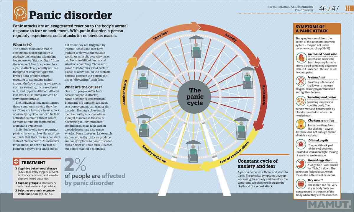 HOW PSYCHOLOGY WORKS 