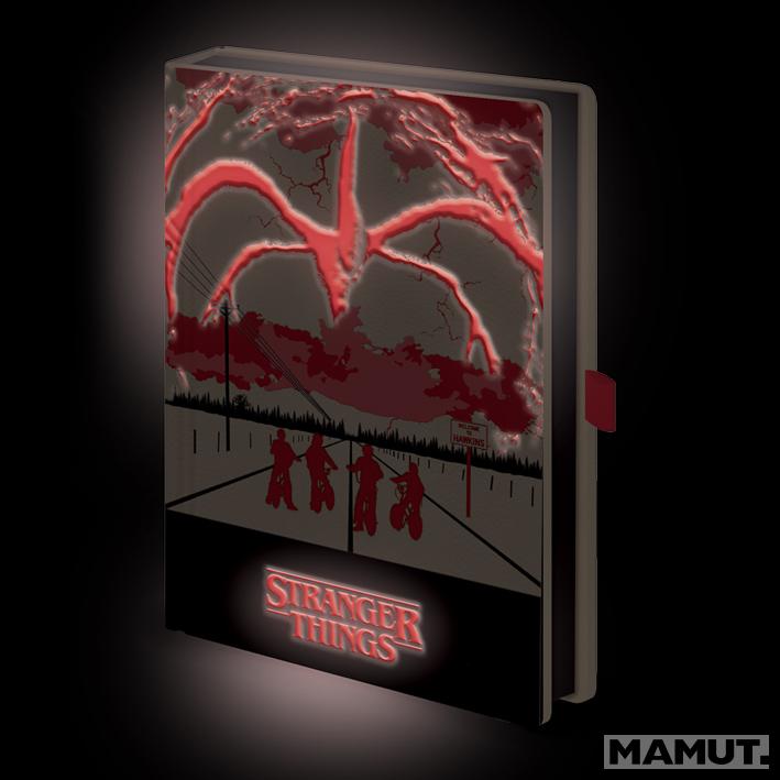 Notes STRANGER THINGS
