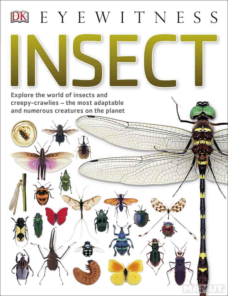INSECTS 