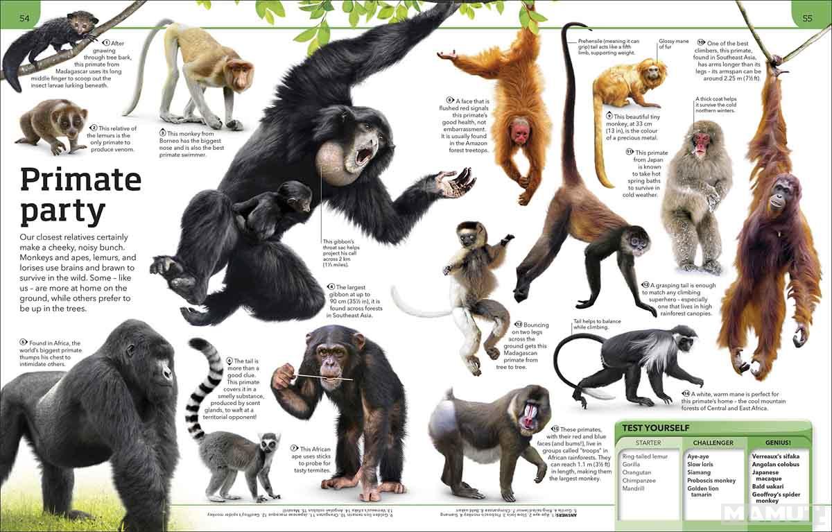 GENERAL KNOWLEDGE GENIUS 