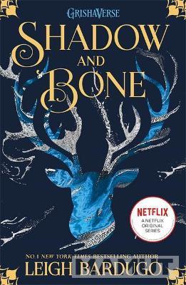 SHADOW AND BONE TikTok Hit book 1 