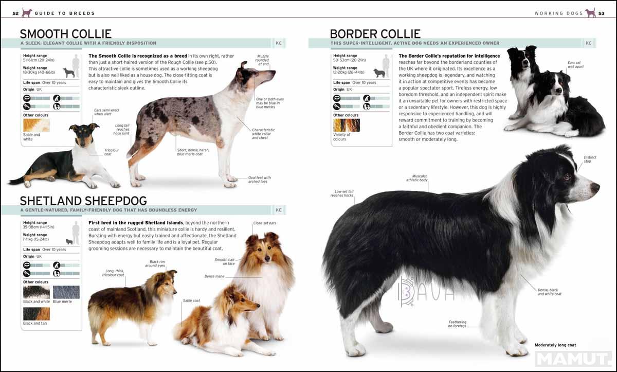 THE COMPLETE DOG BREED 