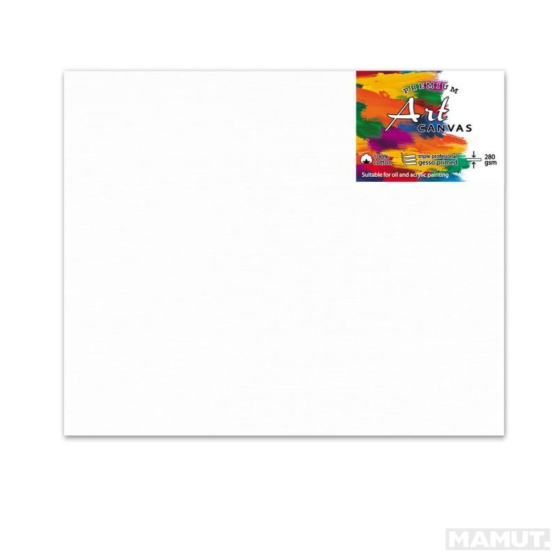 Slikarsko platno S- COOL  PROFESS 50 x 60 cm 