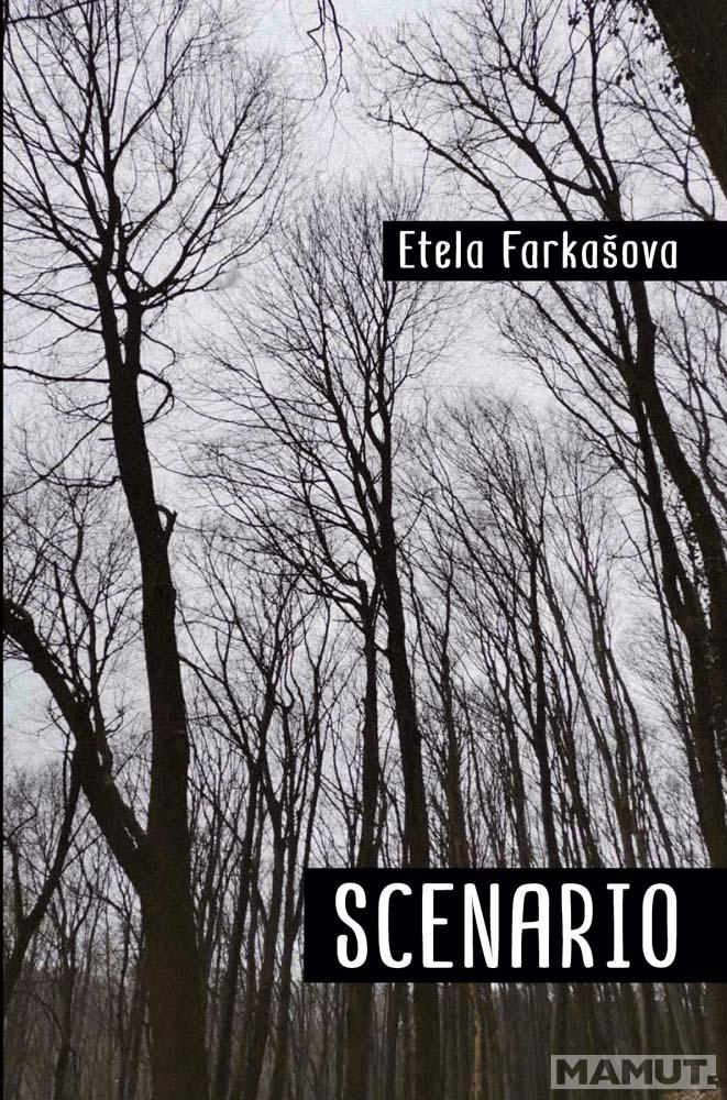 SCENARIO 