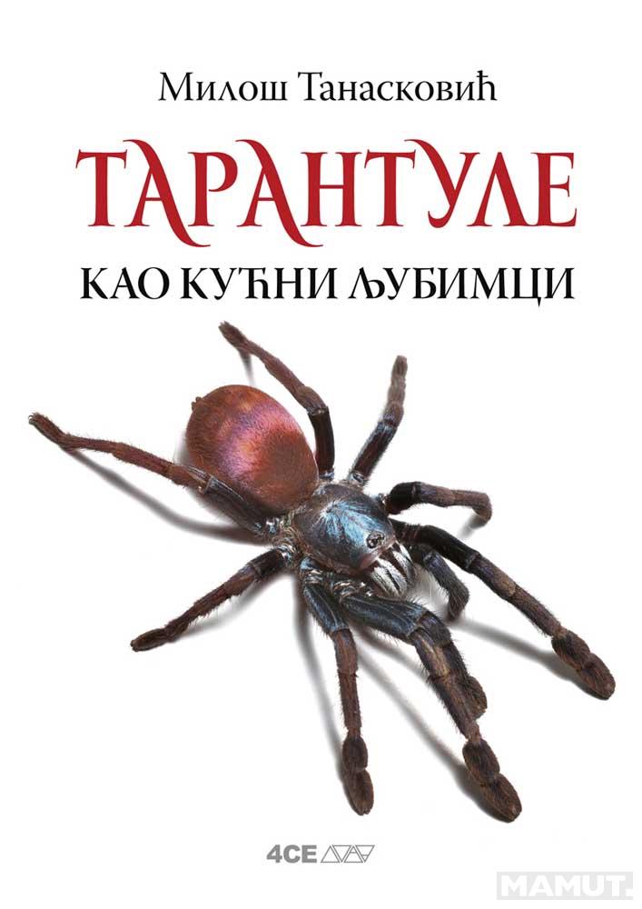 TARANTULE KAO KUĆNI LJUBIMCI 