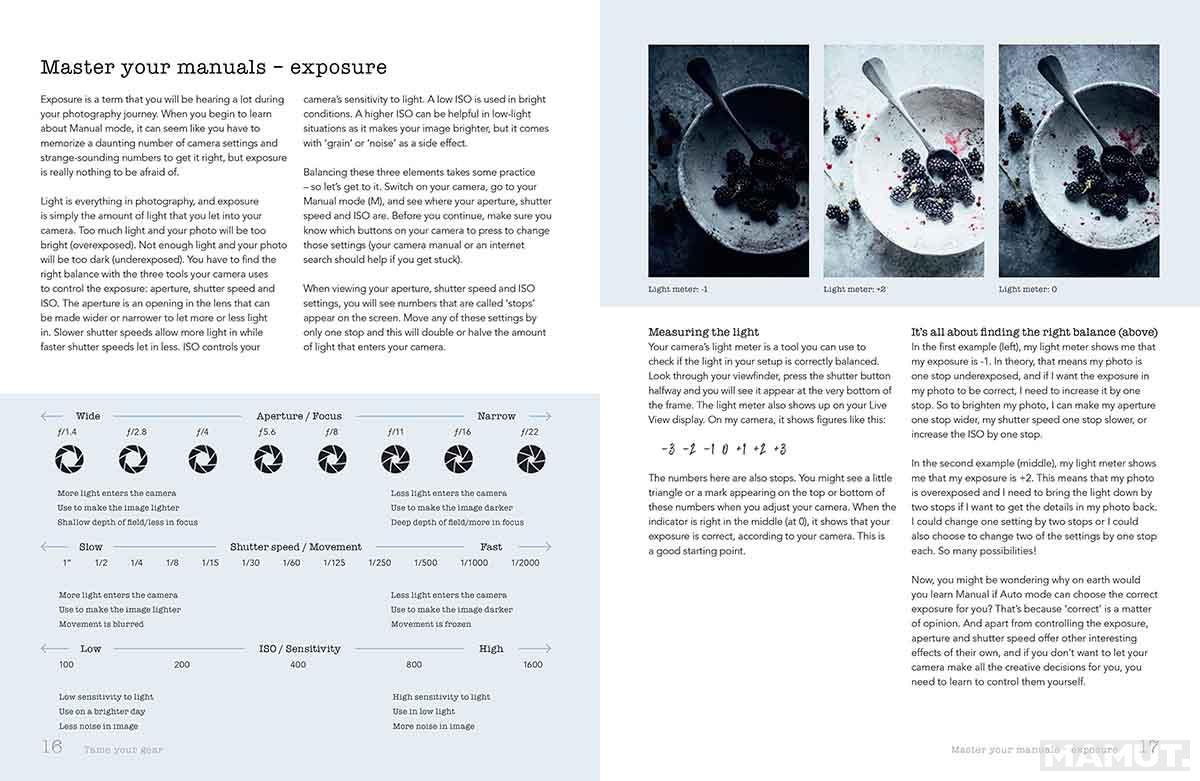 HOW TO PHOTOGRAPH FOOD 