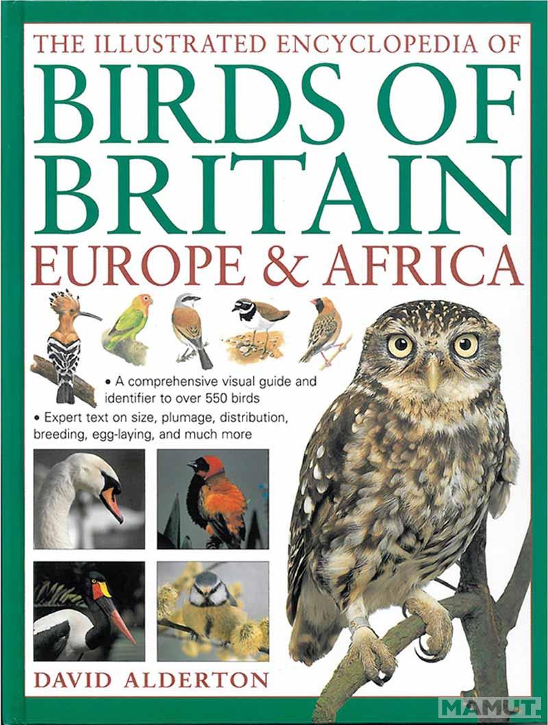 ILLUSTRATED ENCYCLOPEDIA OF BIRDS OF BRITAIN, EUROPE AND AFRICA 