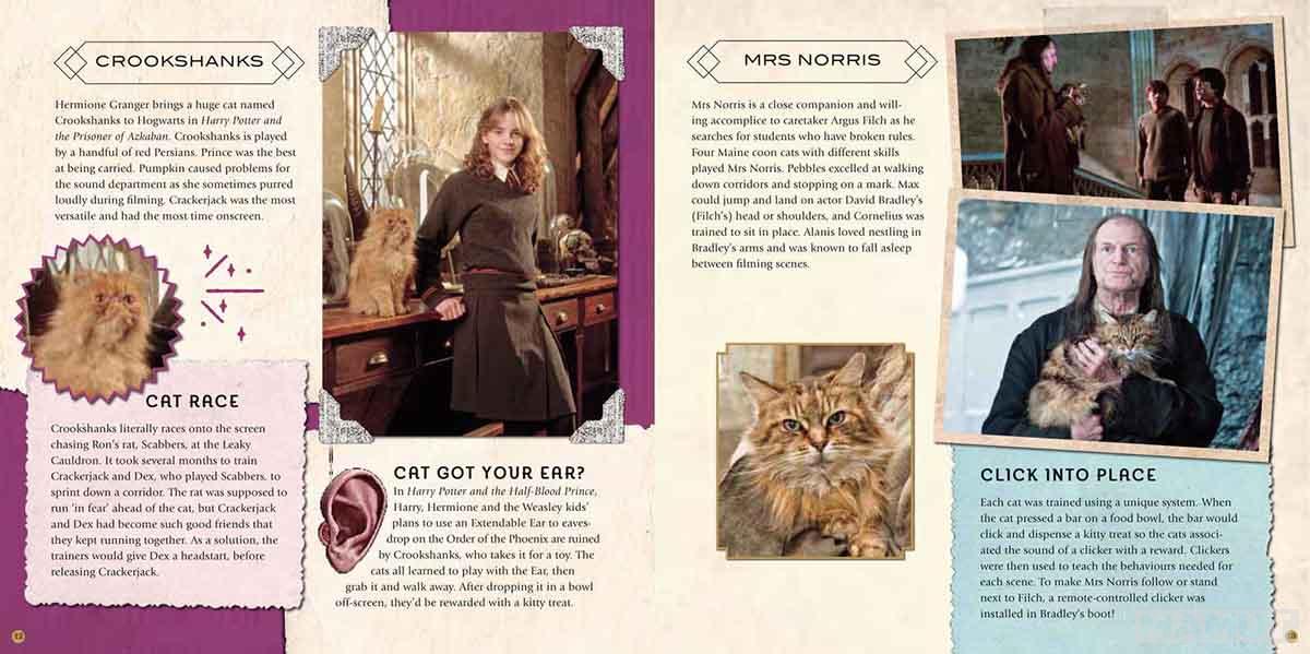 HARRY POTTER MAGICAL CREATURES 