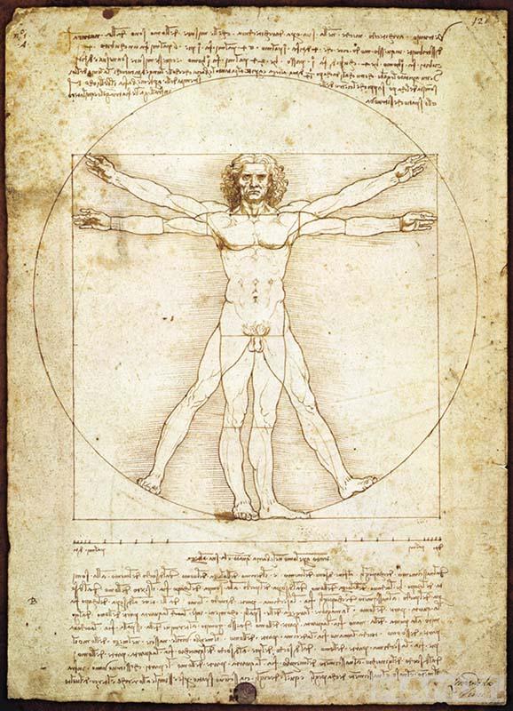 Slagalica DA VINČI -VITRUVIAN MAN - 1000 kom 