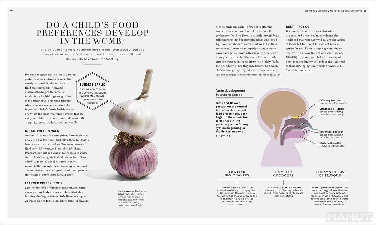 THE SCIENCE OF NUTRITION 