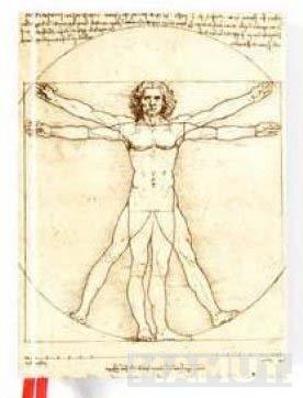 Notes DA VINCI - VITRUVIAN MAN 