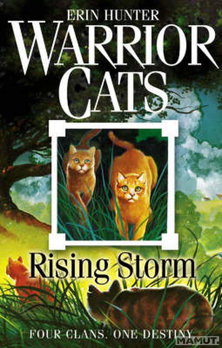 WARRIOR CATS 4 RISING STORM 